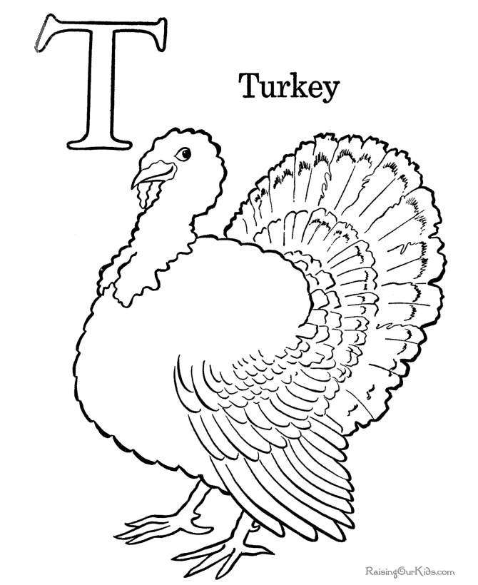 Turkey preschool coloring page