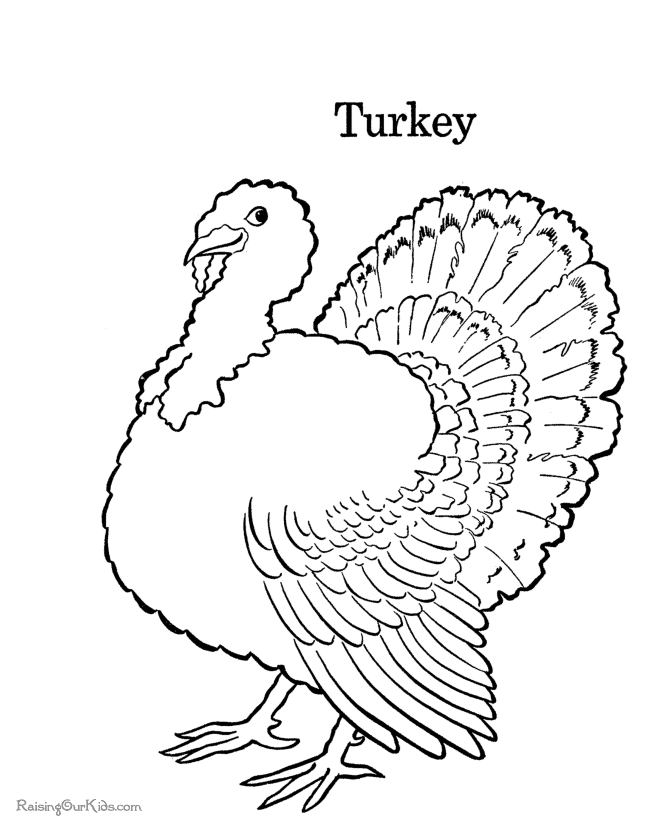Turkey Thanksgiving coloring book pages