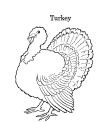 Turkey coloring book pages